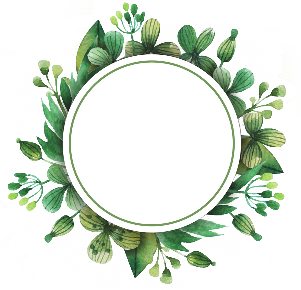 Our Social Mission - Leaf Border Circle Png Vector (995x959)