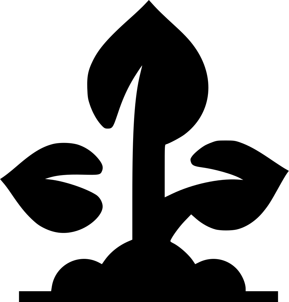 Plant Seedling Grow Comments - Plant Seedling Grow Comments (938x980)