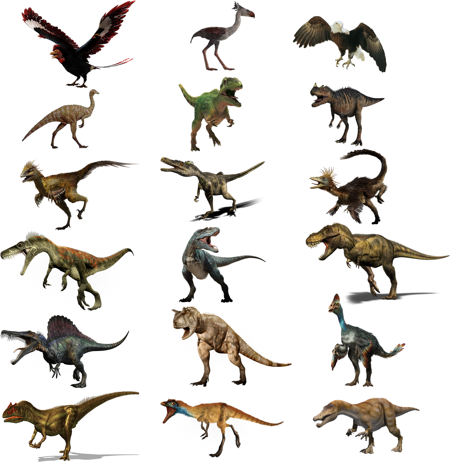 Theropoda - Dinopedia - Flying Dinosaurs (1465x1496)