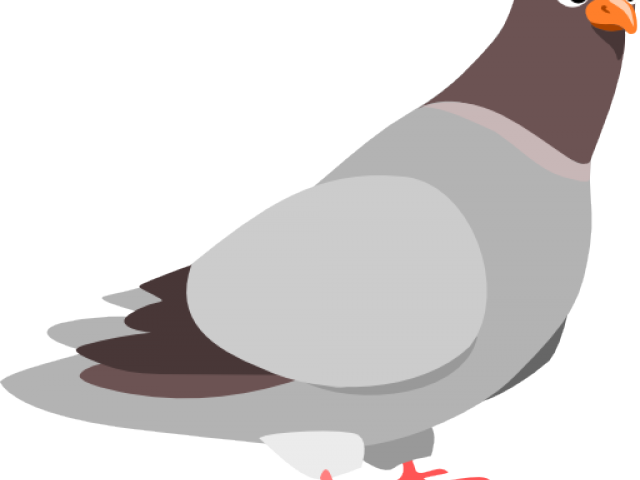 Pigeon Clipart Face - Pigeon Clip Art (640x480)