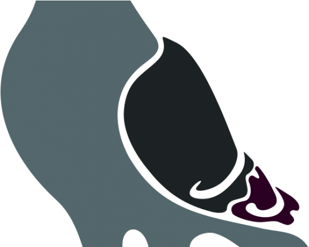 Pigeon Clipart Pigeon Bird - Pigeon Silhouette (640x480)