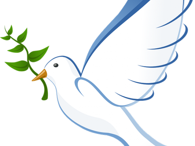Pigeon Clipart Paz - Dove Clip Art (640x480)