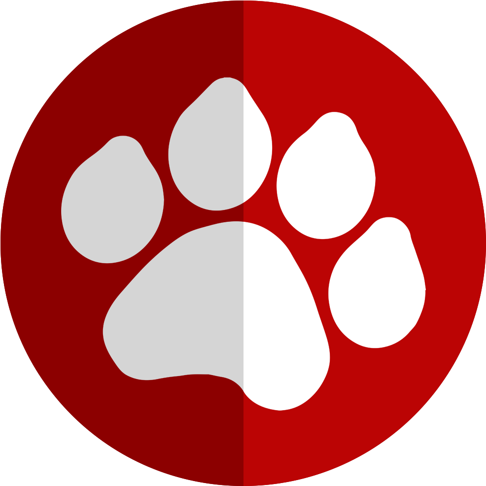 Radiography Is A Valuable Diagnostic Tool In Veterinary - Saline Water Conversion Corporation (1000x1000)