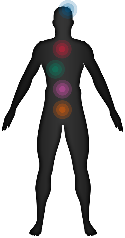 Click On A Tool Name To Find Out More - Medical Imaging (428x814)