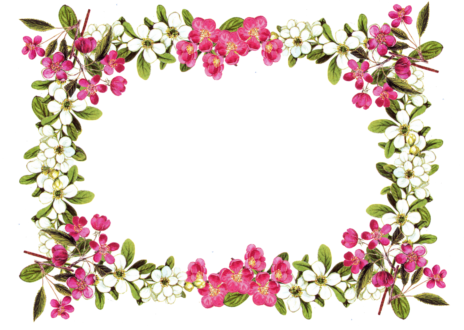 Free Printable Clip Art Borders - Flower Frame Png (1600x1143)