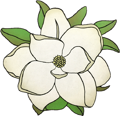 Magnolia Inlet Designs - Magnolia Clipart (512x512)