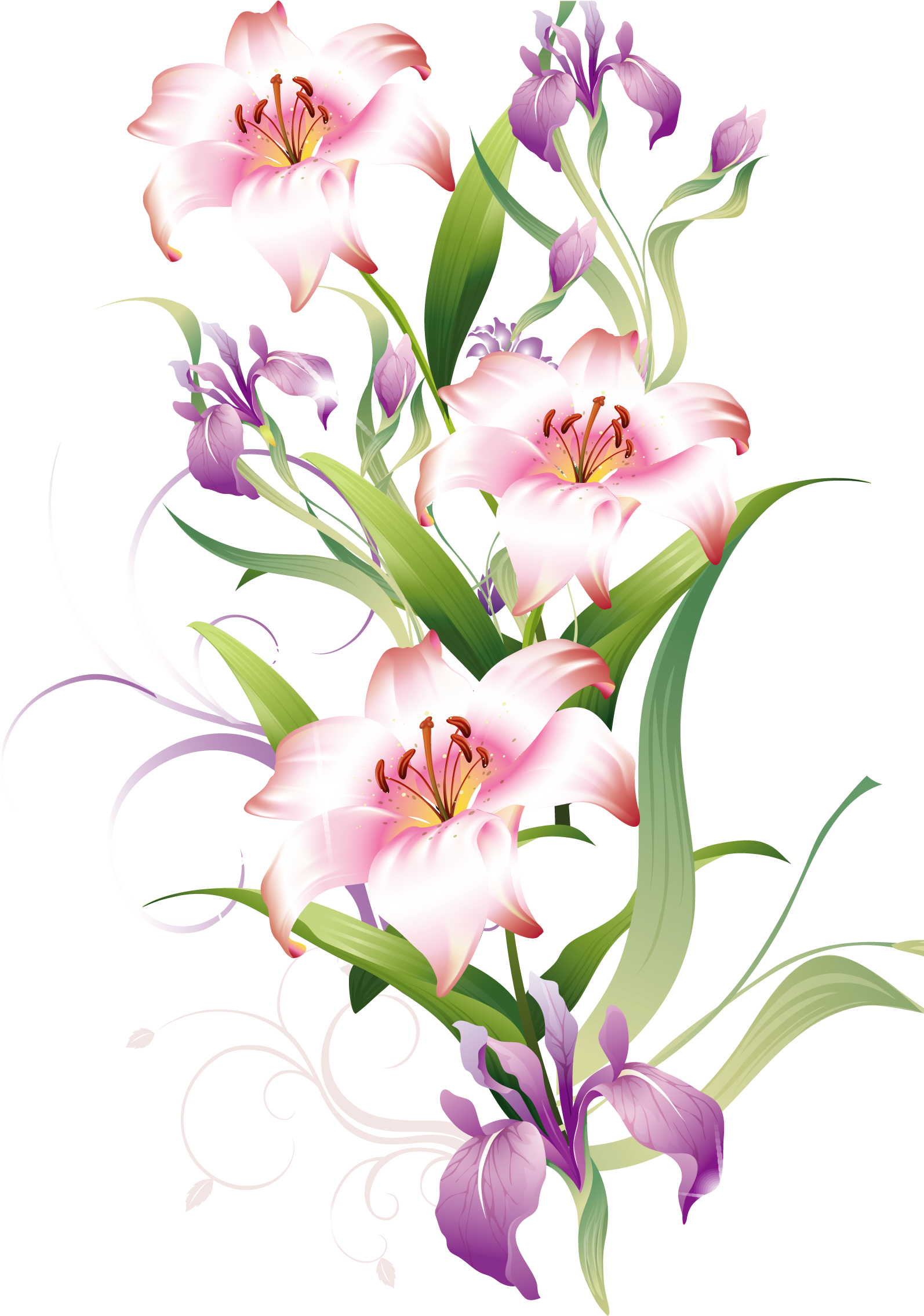 Lilium Decoration Png Clipart Picture - Привітання З Днем Народження Подрузі (1631x2329)