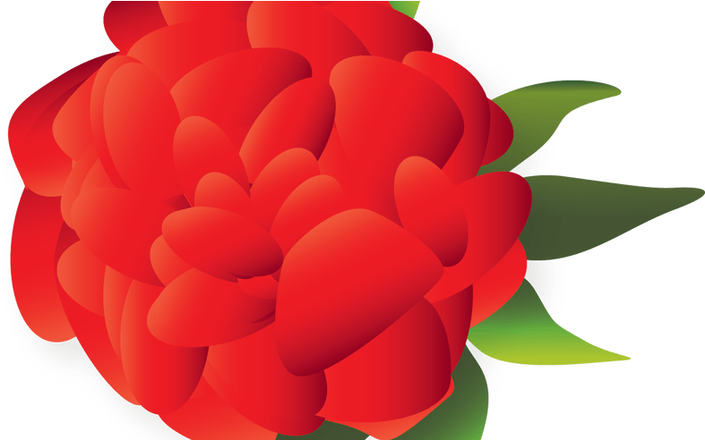 Cut Flowers Mexican Cuisine Clip Art - Mexican Flowers Clipart Red (1368x855)