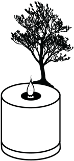 An Image Of Lumen Flame Magnolia, A Product Designed - Magnolia Tree (400x400)