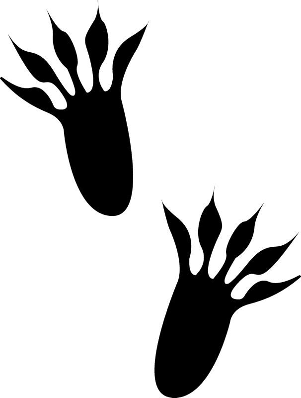 Squirrel Tracks Rubber Stamp - Squirrel Tracks (606x800)