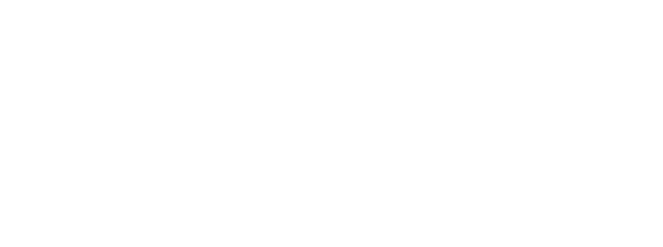 Ses Companies - Emilio Ostorero (663x247)