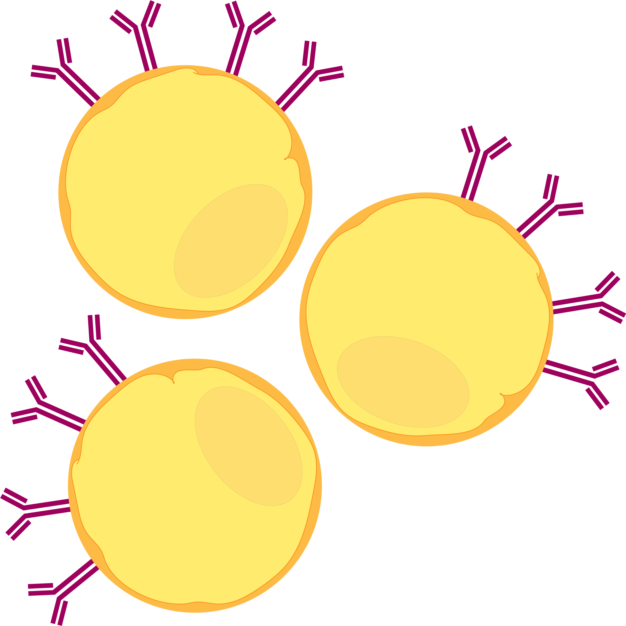 Like All Immature B Cells, Wehi Cells Constitutively - Circle (2500x2533)