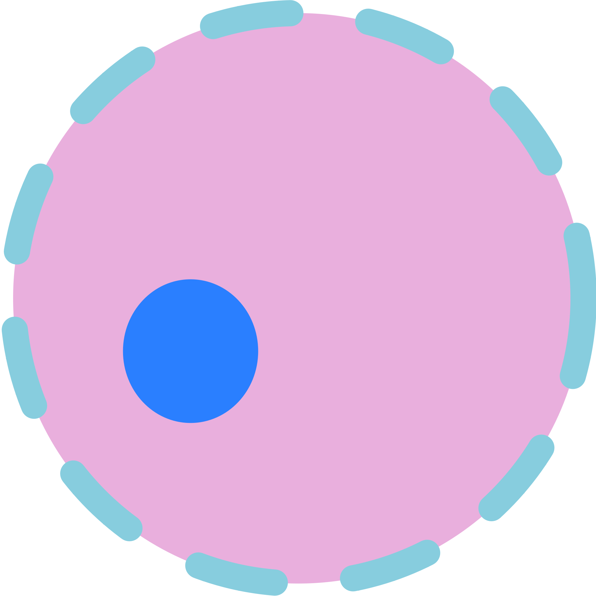 The Nucleus Is In Charge Of The Cell - Cell Nucleus Png (2000x2000)