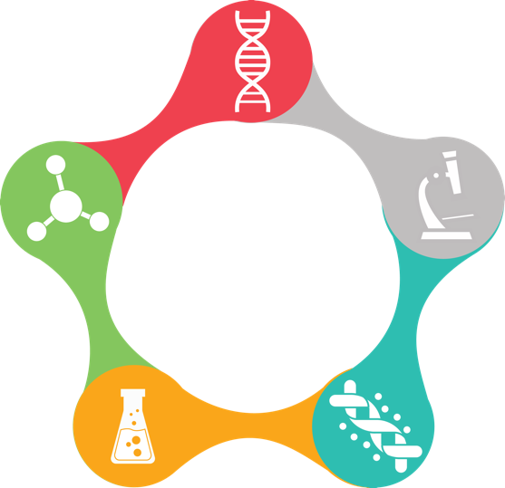 Keyword Research (557x539)