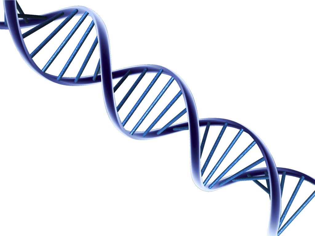 Dna Structure Clipart Clipart Transparent Background - Psa And Prostate Can...
