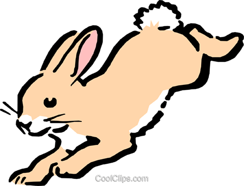 Harp Seal Clipart - Rabbit Cartoon (480x366)