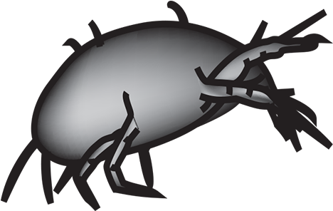 Dust Mites - Mite Transpartent Background (622x310)