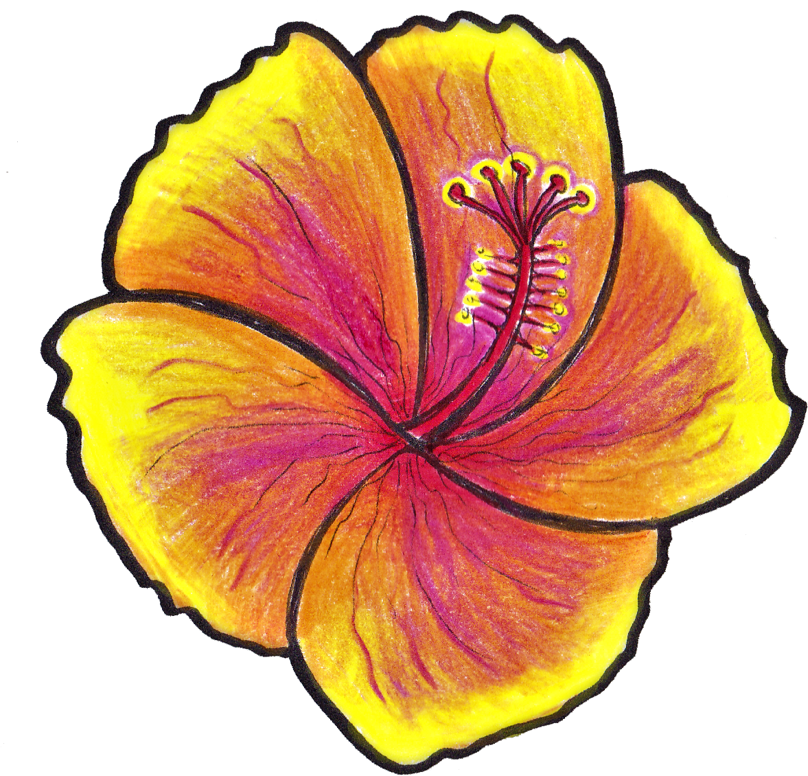 Click Here To Pop Over And Join Us - Click Here To Pop Over And Join Us (1213x1176)