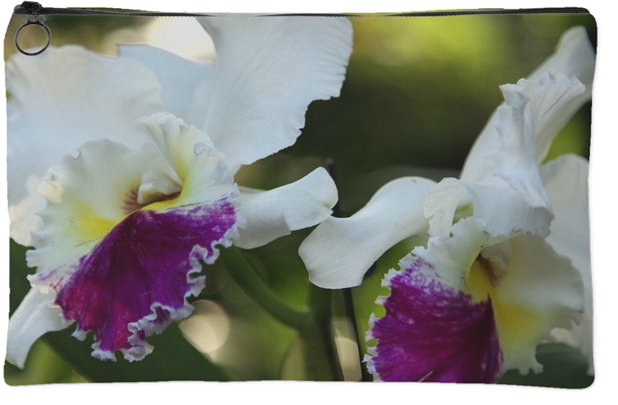 Orchid Pouch - Cattleya Labiata (1024x1024)