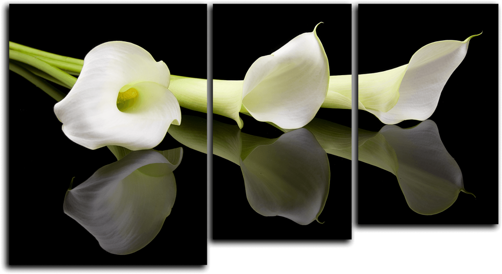 «"картины Цветов"» Коллекция Пользователя Super - Condolence Quotes (1000x1000)