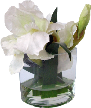 Água Mágica Com Lírios - Bougainvillea (340x400)