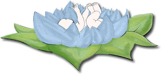 Kontakt - Cyclamen (615x272)