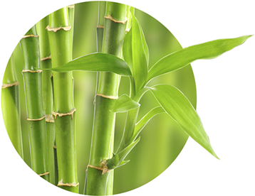 We Want To Share With You Our Passion For Cycling And - Woobamboo Toothbrush Standard Handle Medium Single (388x327)