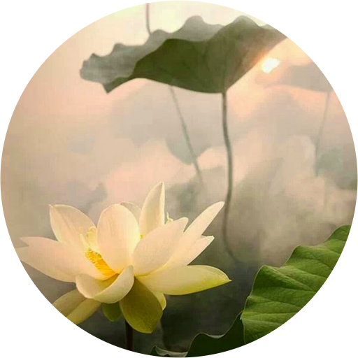 荷花 壁纸 (512x512)