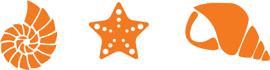 Cosmic Shell Shower Curtain (1300x520)