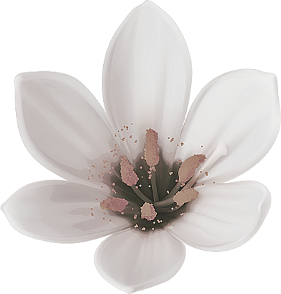 View Portfolio - Lily (403x421)