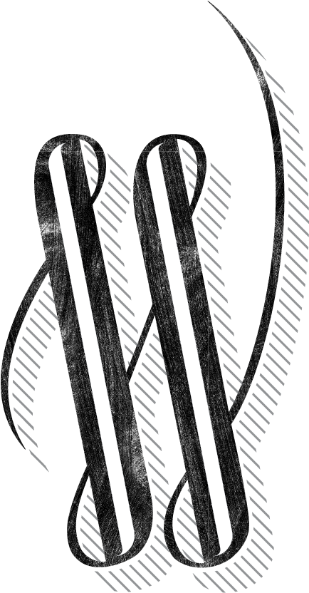 Bourbon Barrel Clipart (601x900)