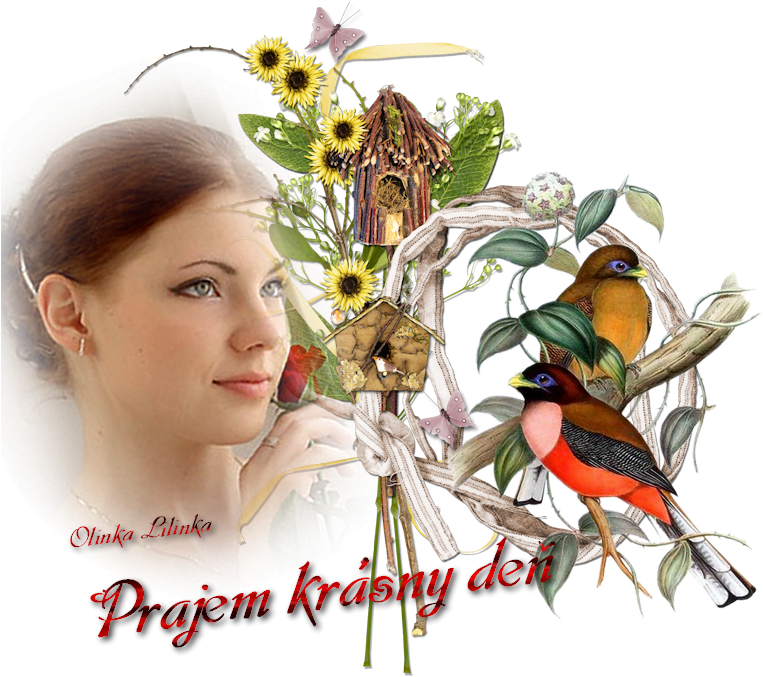 Photo Prajemkrasny493 - Trogon Vogel-tier-asiatischer Tier-untersetzer Untersetzer (800x693)