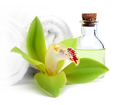 Massage Derviche « Breuss » Selon Marc Ivo Bohning - Lily Of The Valley (497x420)