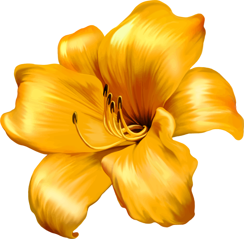 Png Клипарт "beautiful Flowers" - Large Flower Illustration (851x833)