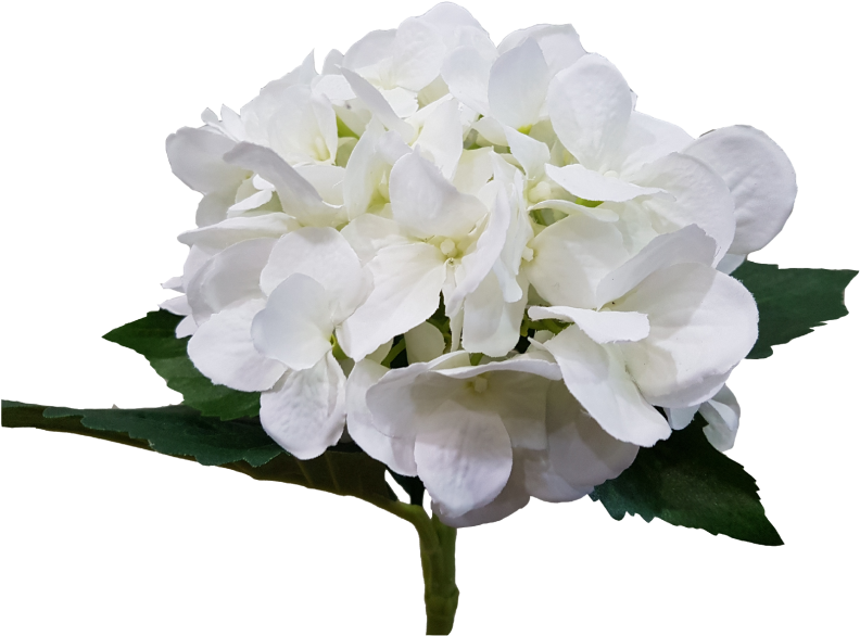 Wedding White Hydrangea Artificial Flowers Quality - Artificial Flower (800x600)