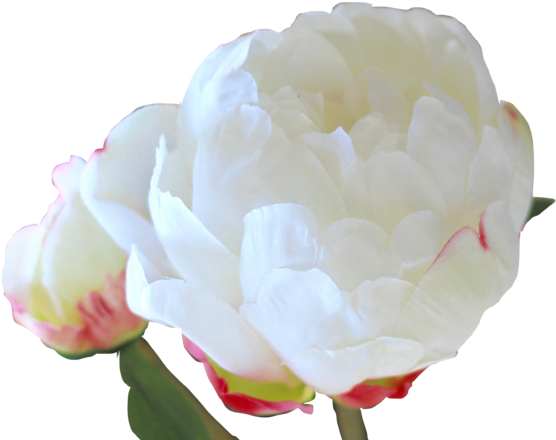 Artificial Flower (600x600)