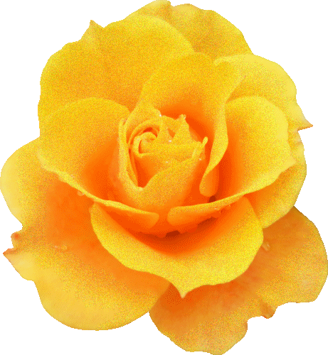 Ksjn2q95xem - Web Hosting Service (461x500)