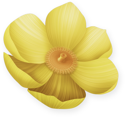 The Proposal - Artificial Flower (400x374)