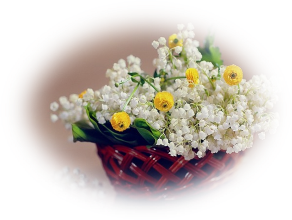 Mes Tubes Fleurs - May 1 (600x452)