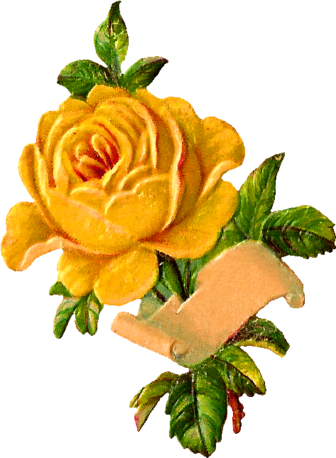 Digital Rose Label - Flower (536x696)