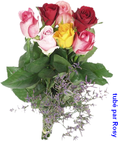 Mensagem Para Todas As Mães (450x500)