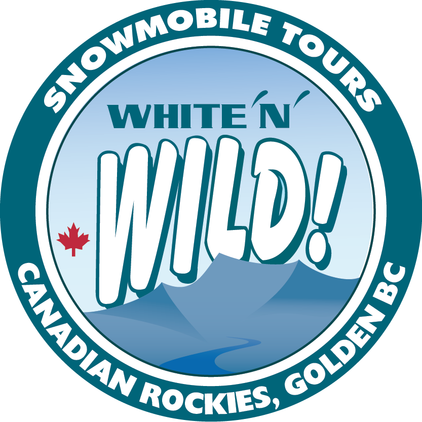 White N Wild Snowmobile Tours Ltd - White N Wild Snowmobile Tours (833x833)