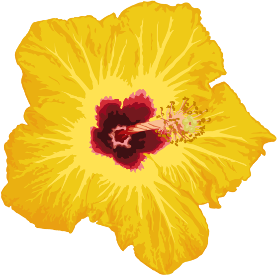 Flower Png By Chingiz-han - Flower (800x600)