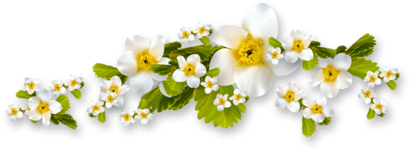 Flores De Boda En Png (600x308)