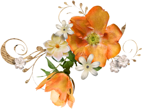 Fleur Orange Barre - Fleurs De Noel Tubes (500x386)