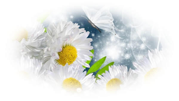 Mes Tubes - Tube Fleurs Blanche (600x337)