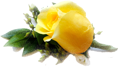 It All Started With A Yellow Rose - Yellow Rose Png File (450x300)