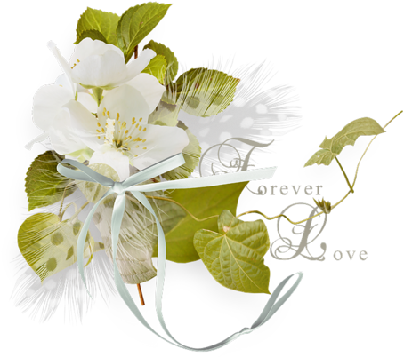 Fleur Mariage - Japanese Honeysuckle (500x476)