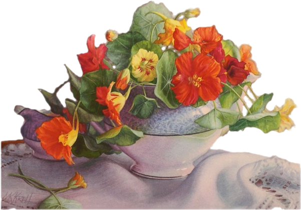 Tubes Bouquets Ou Vases - Csodás Vasárnapot (600x451)