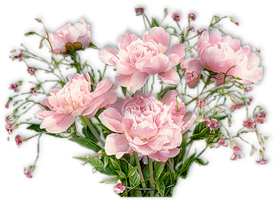 Pivoines - Happy Mothers Day Gifs (400x300)